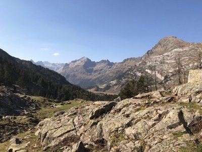 C6C04647-4D55-44E8-A8CA-BC25C690296E.jpeg