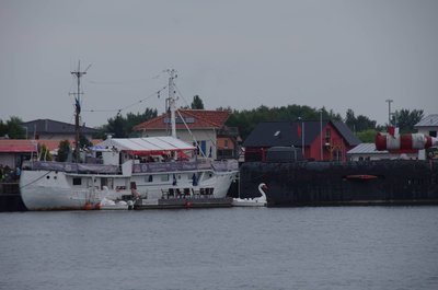 20180717_170623_Penemuende_002.JPG