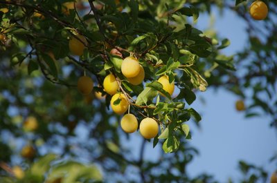 20180719_175241_Dahmen_012.JPG