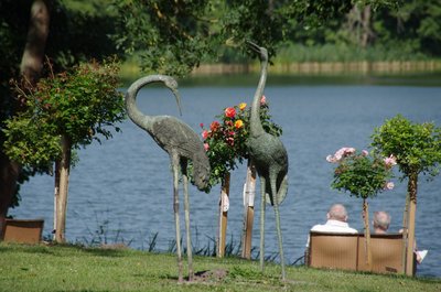 20180720_091651_Schorssow_004.JPG