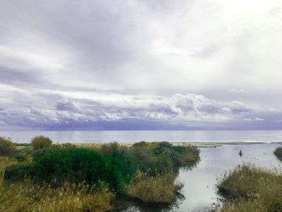 IMG_8272.jpg
