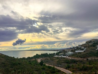IMG_8334.jpg