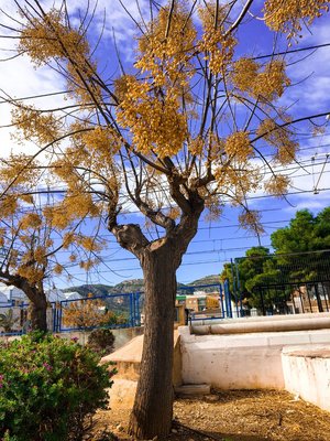 IMG_8348.jpg