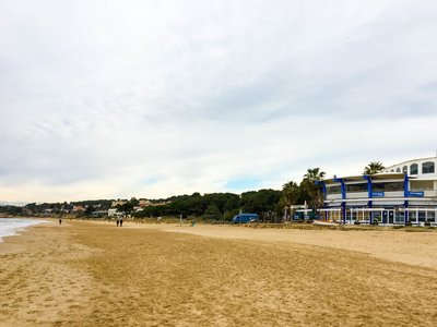 IMG_8589.jpg