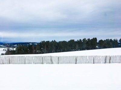 IMG_8865.jpg