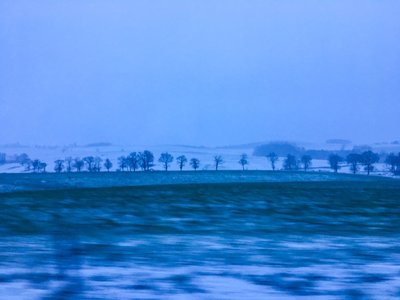 IMG_8893.jpg
