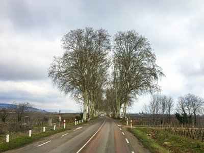 IMG_8926.jpg