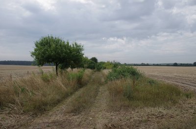 20180713_093839_Landpartie_001.JPG