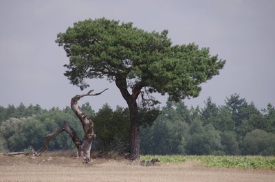 20180713_105742_Landpartie_033.JPG