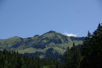 IMGP5600.JPG