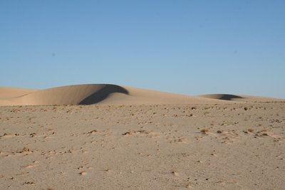 Geklonte Dünen .