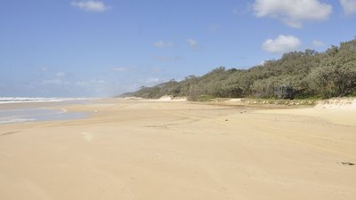 _DSC0938a.JPG