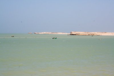 Hier in den Unterwasser Käfigen warten immer 10-12 Tonnen Langusten auf ihren Abtransport .<br />alle 2 Wochen Freitags gehen 5-6 Ton. auf die Reise .