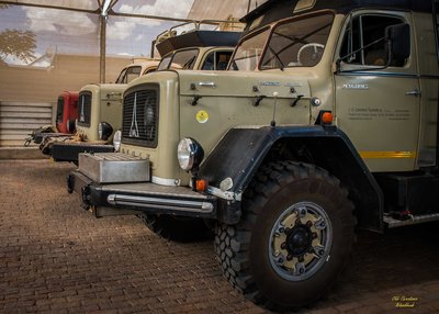 Mags im Vordergrund mit 385/80 R 20 MPT auf Trilex