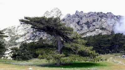 D87DC0A2-7780-421C-B1A2-AB9803F24C97.jpeg