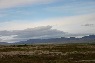 IMG_1786.JPG