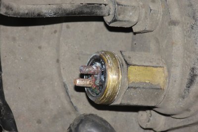 IMG_6329 klein.JPG