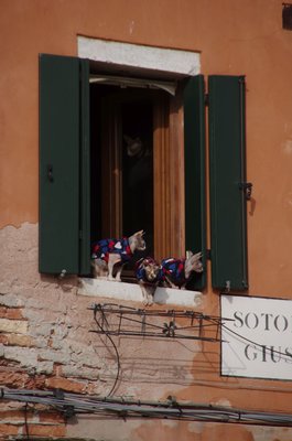 20190421_155506_Venedig_335.JPG