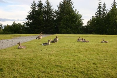 IMG_1799.JPG