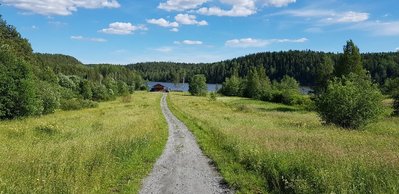 20190704_161534_resized(3).jpg