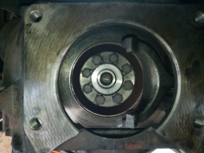IMG_20190619_144646_RAW.gif