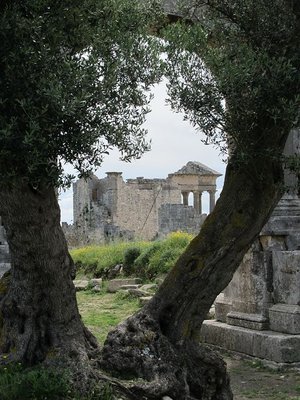 k-IMG_1016.jpg
