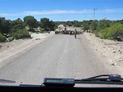 k-IMG_1125.jpg