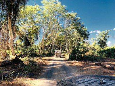 20190518_Kruger - NP - Fever Trees_South Africa_IMG_7846.jpg