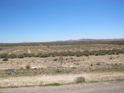 k-IMG_1265.jpg