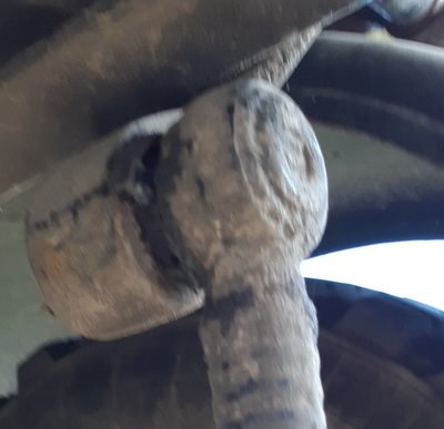 20190916_122253.jpg