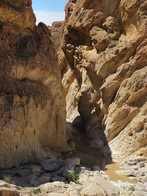 k-IMG_1339.jpg