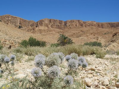 k-IMG_1351.jpg