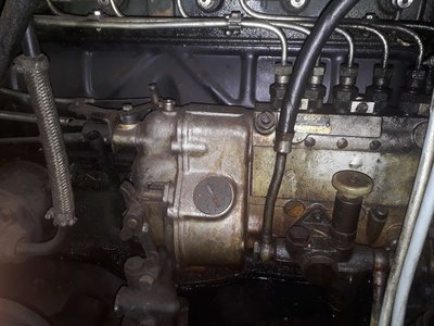 20191012_193104_compress6.jpg