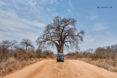 20191010_Mana Pools - Baobab and Landy_Simbabwe_DSC00499.jpg