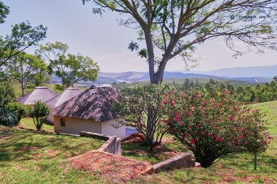 20191103_Austrian Coffee Estate - Landscape_South Africa_Südafrika (67) - Österreichische Cafe-Farm.jpg
