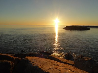 P1050599.25%.jpg