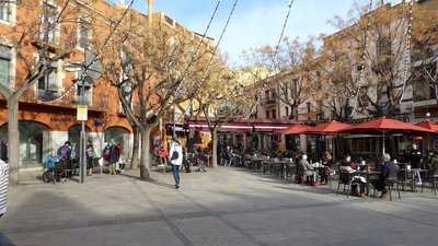 P1050642.25%.jpg