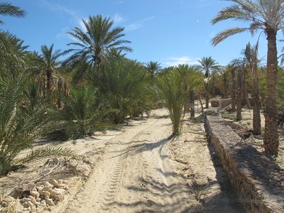k-IMG_1419.jpg