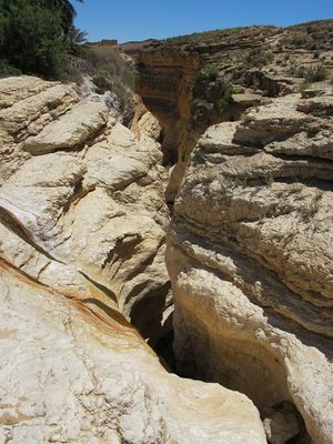 k-IMG_1449.jpg