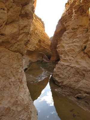 k-IMG_1458.jpg