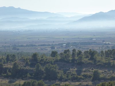 P1050743.25%.jpg