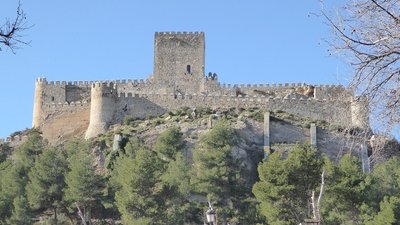 P1050750.25%.jpg
