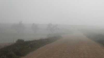 P1050836.25%.jpg