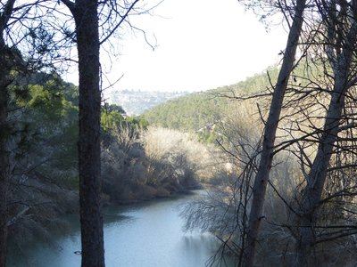 P1050842.25%.jpg