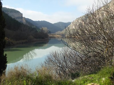 P1050846.25%.jpg