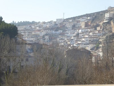 P1050848.25%.jpg