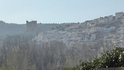P1050852.25%.jpg