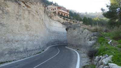 P1050857.25%.jpg