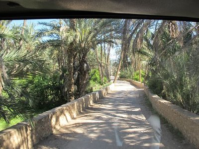 k-IMG_1482.jpg