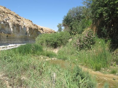 k-IMG_1494.jpg